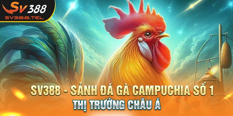 SV388 Sảnh đá gà Campuchia số 1