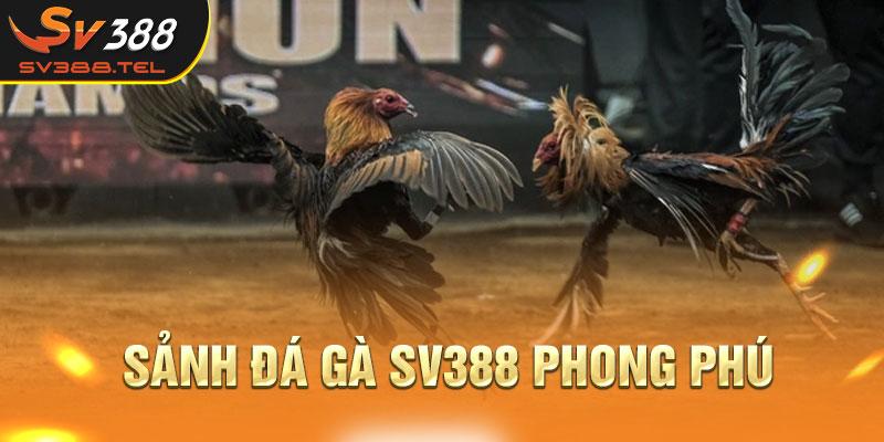 Sảnh Đá gà SV388 phong phú, nổi tiếng