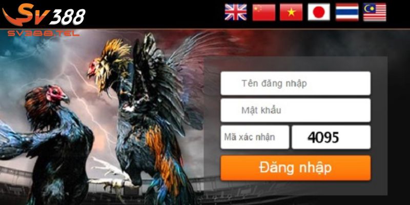 Hướng dẫn đăng nhập SV388 trên website