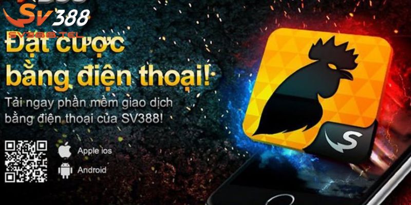 Hướng dẫn tải app SV388 nhanh chóng và dễ dàng cho cược thủ.